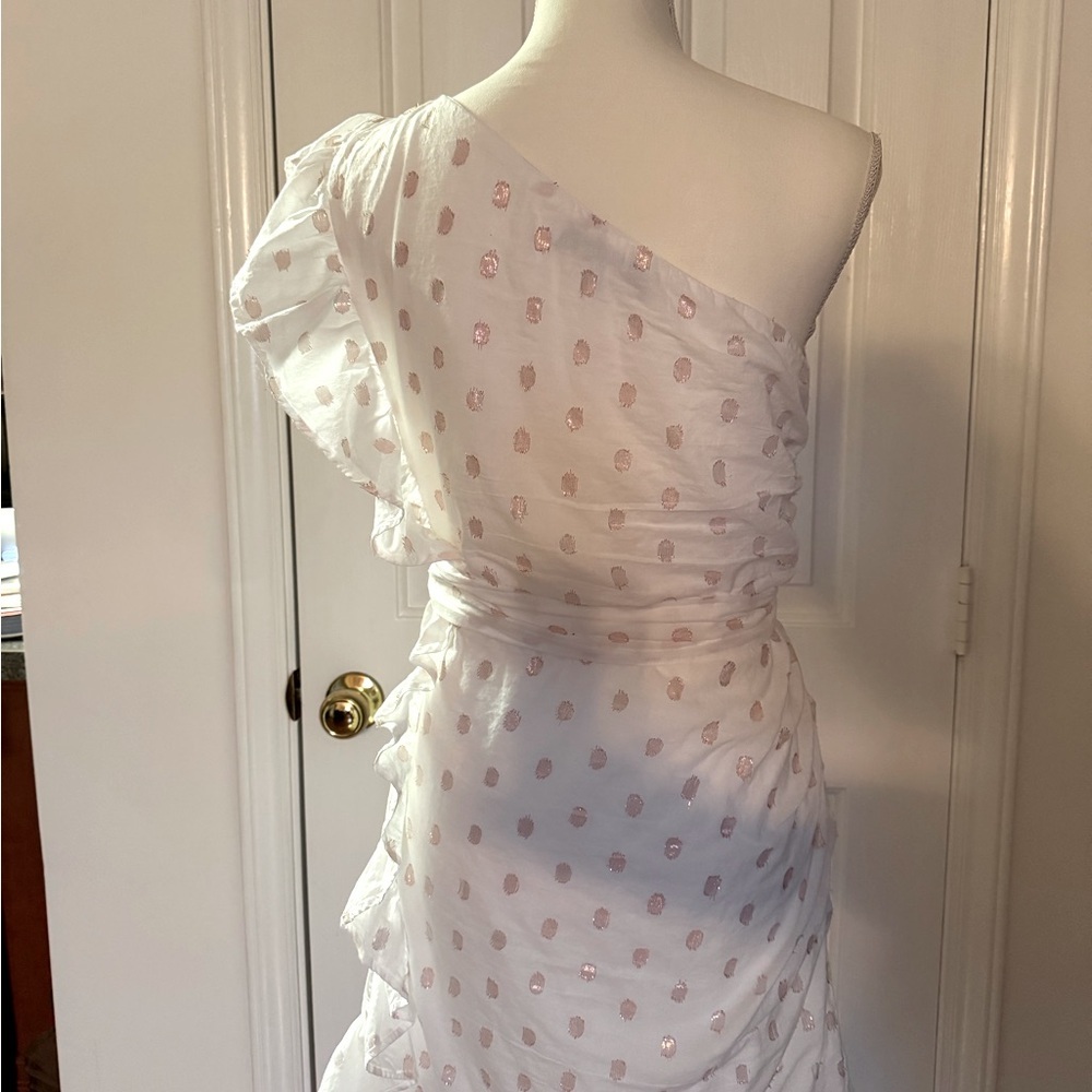 “LOVERS + FRIENDS” X Revolve Whitney Rose Dress - Picture 13 of 16